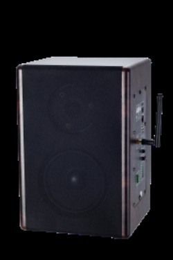 IP 網絡有源監(jiān)聽音箱   KD-9907